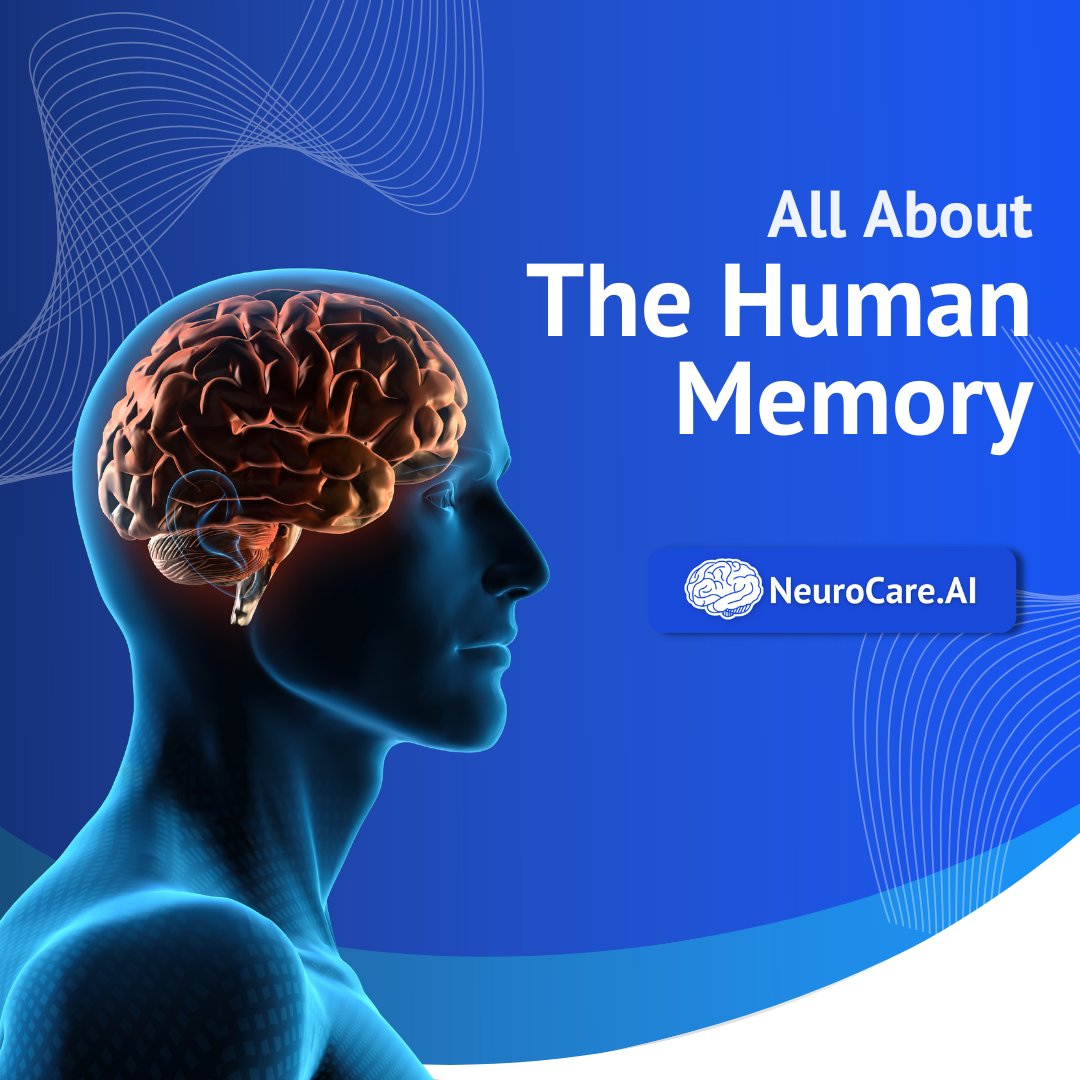 savelife_ai's tweet photo. Have you ever wondered how we remember and forget things?
It has something to do with our memory.
And today, we will explore some facts about the human memory. (A Thread;)
#NeuroCareAI #NeuroScience #HumanMemory #BrainMemory https://t.co/XJesMoLcqU