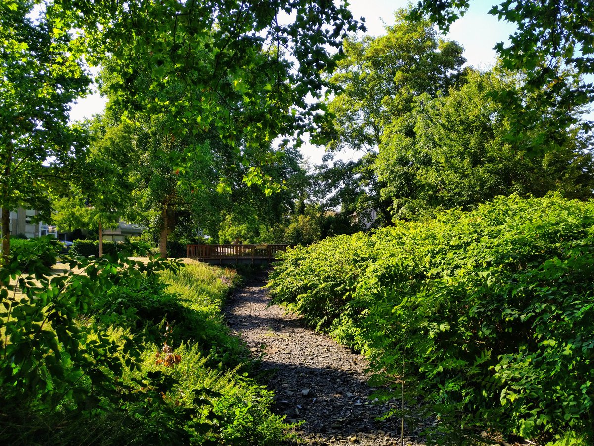 fotoaufnahme's tweet image. Der #Rotbach in der Dinslakener Altstadt im Kreis Wesel/NRW ist leer und ausgetrocknet. #Dürre #Trockenheit Derzeit sind es hier 32 Grad Celsius bei leichtem Wind. Genügend trinken ist jetzt angesagt. Kommt gut durch den Tag