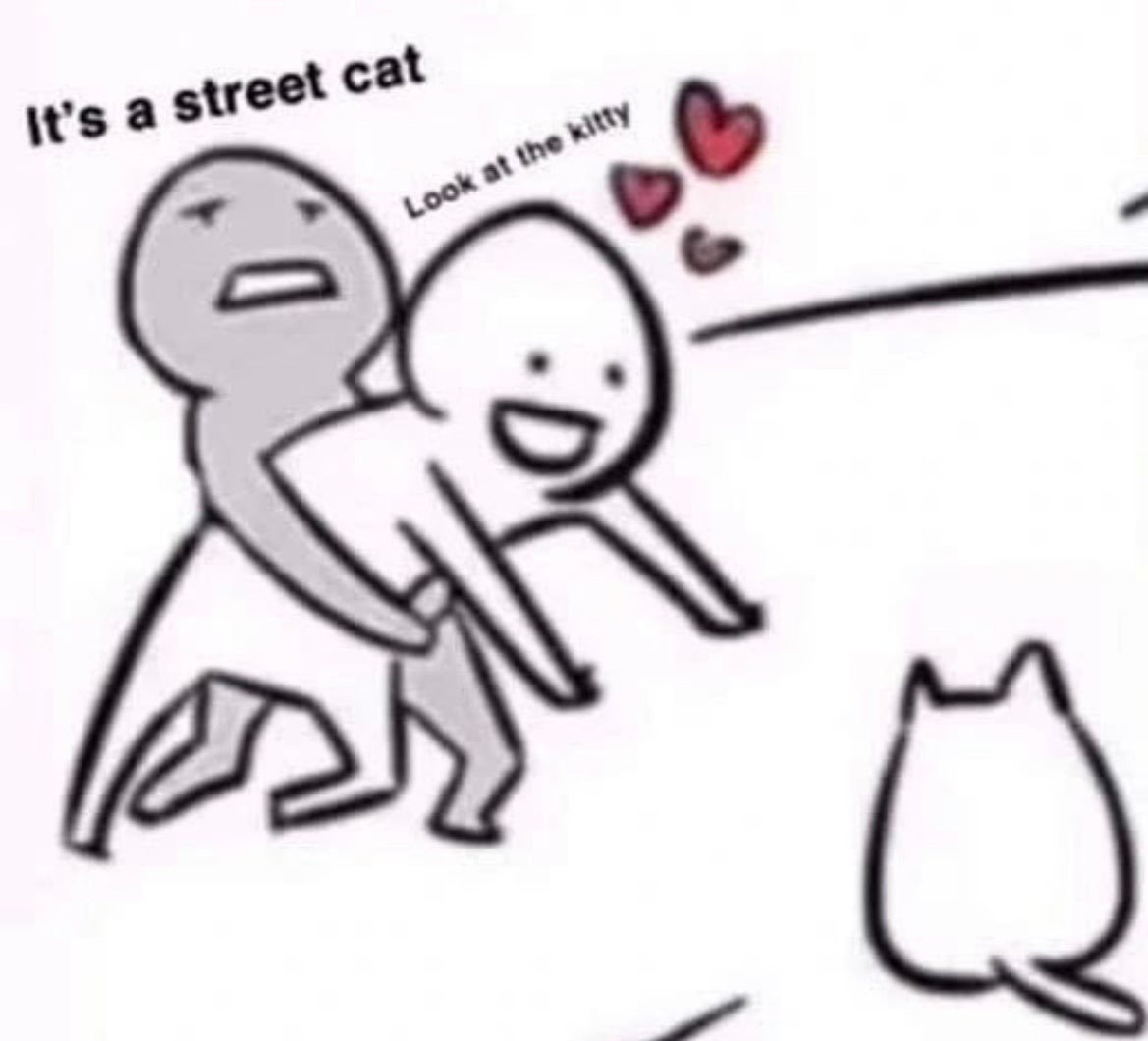 Respectful Memes (@respectfulmemes) on Twitter photo 