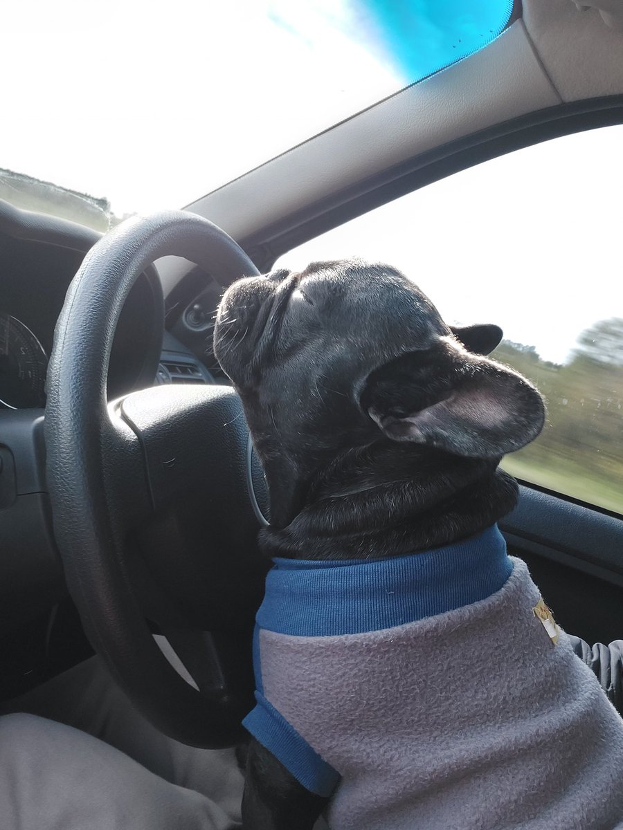 Enamorada de mi bebe🐶😍🙈