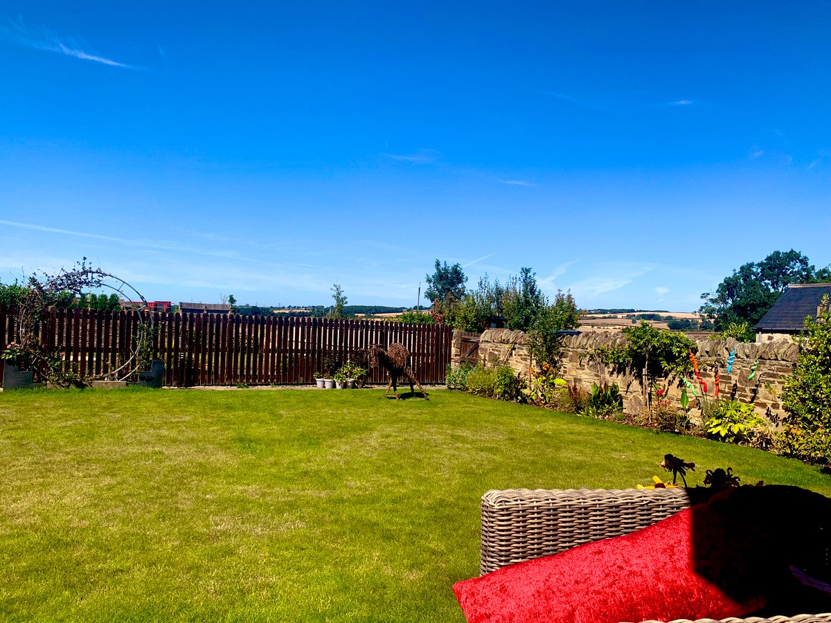 steve_r76's tweet photo. After a morning of work with @HarryDECarter and the team, Rupert has rather enjoyed being let out into the garden to explore and is definitely enjoying the (rare) North East sun and chasing flies! Iโm supervising with a beer and hoping he doesnโt run away!!!!! #firsttimeoutside https://t.co/SrEEMkAcT6