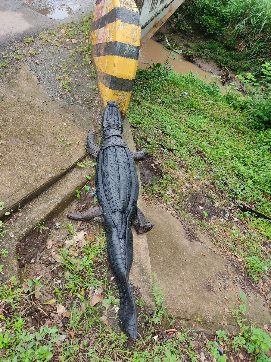 minitruckart's tweet photo. Viene saliendo el caiman de llantas recicladas del río subiendo por el puente visitará el parque del Reciclaje y Vivero en construcción pronto visitará la cuidad de Panamá espero les guste esta creación y me ayuden a compartir muchas gracias https://t.co/qm17tvmXag