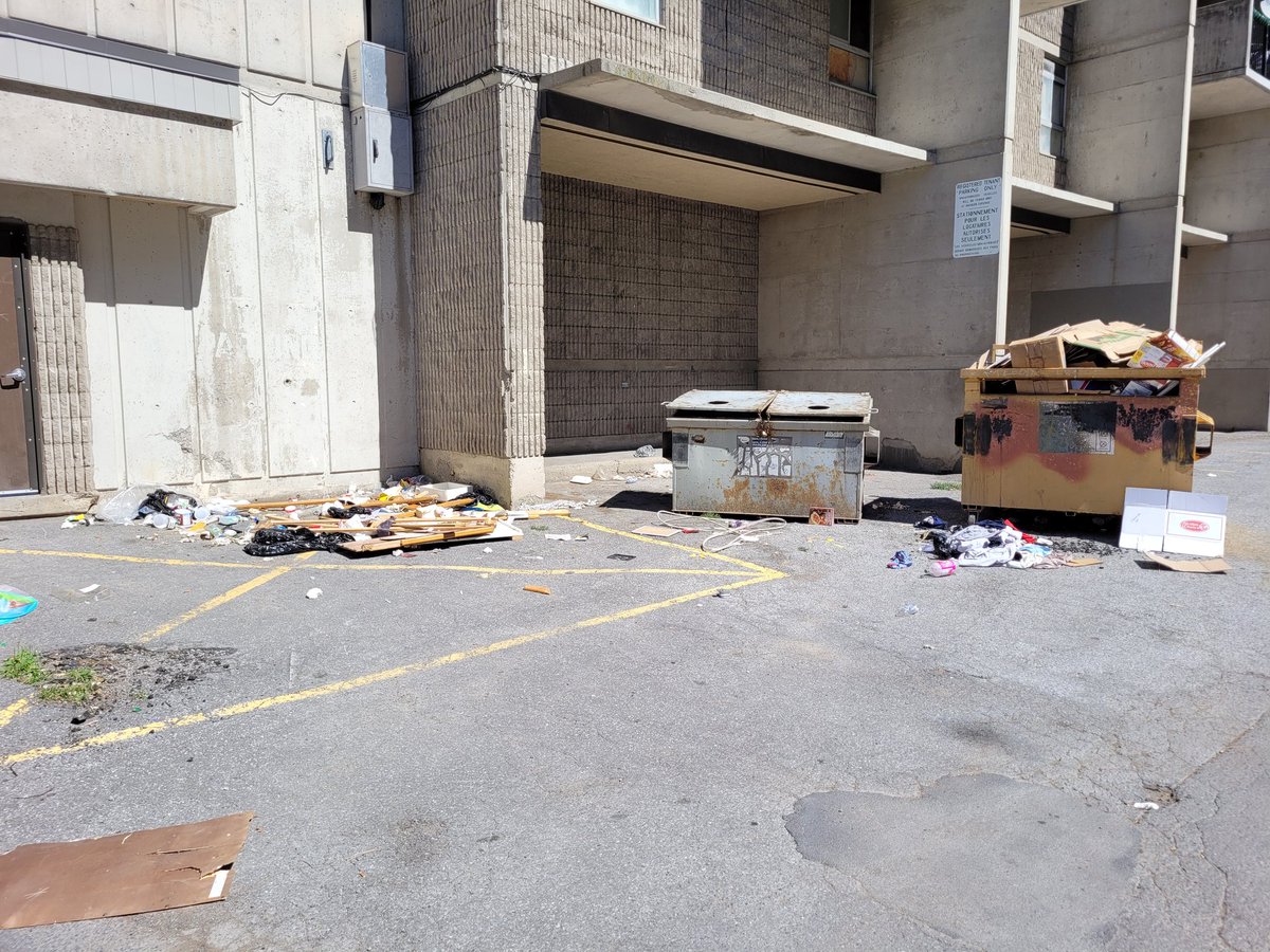 BetweenThePiper's tweet image. Hey @OCH_LCO, @ottawacity, @CityNewsOttawa, @ctvottawa, any chance someone could pick up the trash at Friel Towers? #Trash #unpleasant #unsanitaryconditions