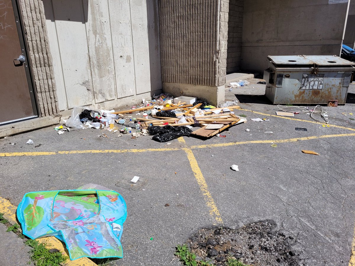 BetweenThePiper's tweet image. Hey @OCH_LCO, @ottawacity, @CityNewsOttawa, @ctvottawa, any chance someone could pick up the trash at Friel Towers? #Trash #unpleasant #unsanitaryconditions