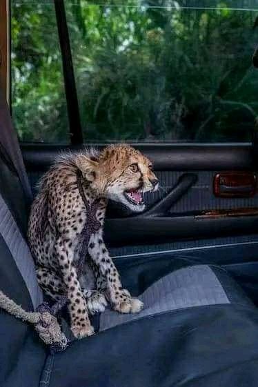 They must be related somehow🤔