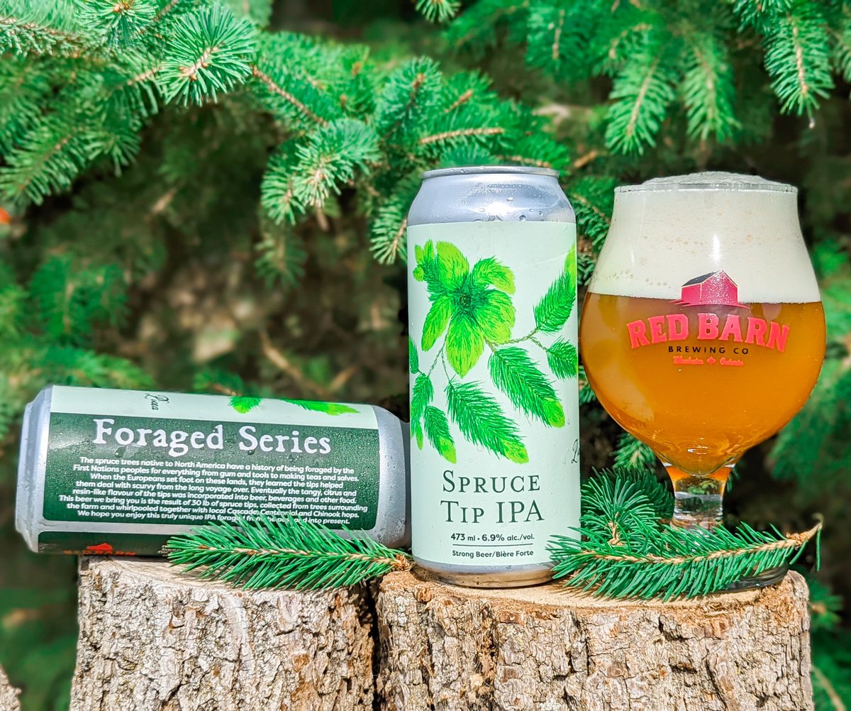 🍺NEW SERIES + BEER RELEASE

Introducing the Foraged Series: Spruce Tip IPA. 

This series of beers is meant to highlight non-traditional ingredients that people have been gathering for thousands of years for many purposes. 

#ForagedSeries

#FamilyFarmBeer
#CheersEh