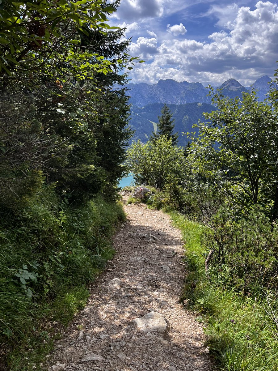 misss_undco's tweet photo. Achensee -Sonne -Berge ☀️💚🔝
#achensee #berglust #dalfazalm #naturpur https://t.co/q2yhkfRh4l