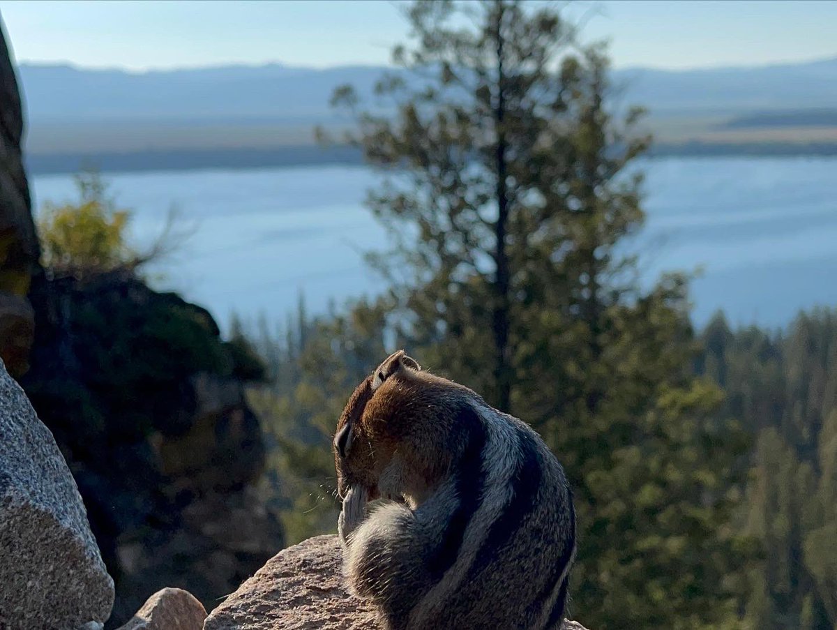 UltimateExposu2's tweet photo. Grand Tetons https://t.co/fFWzRZXcvq