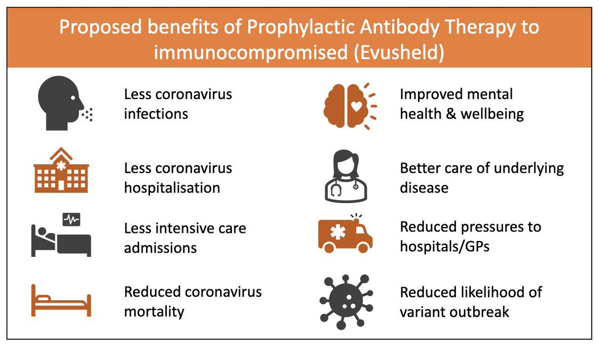 Forgotten Lives Uk tweet media