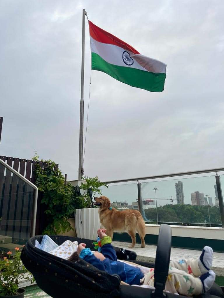 mns9_sms's tweet photo. मनसे अध्यक्ष 🚩#मा.#श्री.#राजसाहेब_ठाकरे🚩 यांचा नातू 👑#किआन👑 पहिल्यांदा देशाचा झेंडा पाहतांनाचा क्षण...😍
@rajthackarey https://t.co/8xwtMPKF4Y