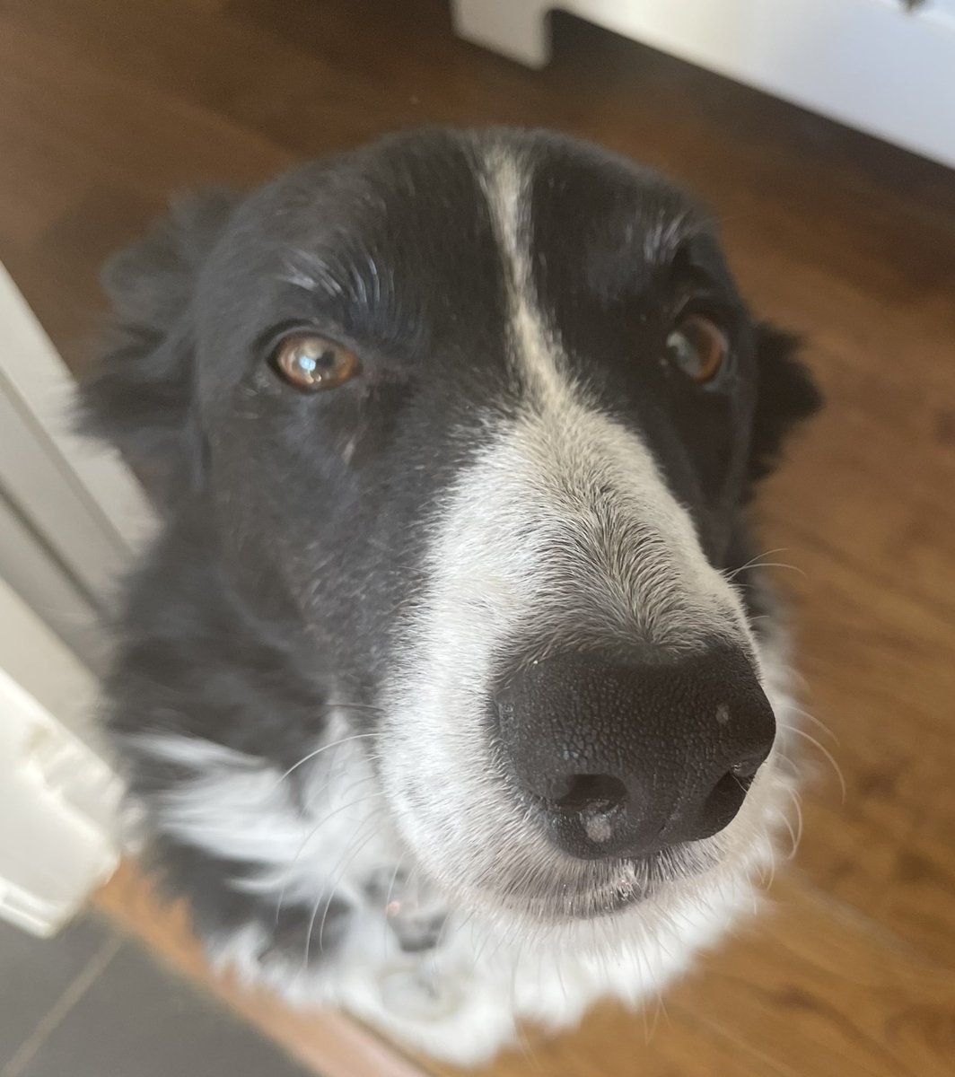 Humum says I’m becoming more ‘distinguished’ in my old age with my grey eyebrows!