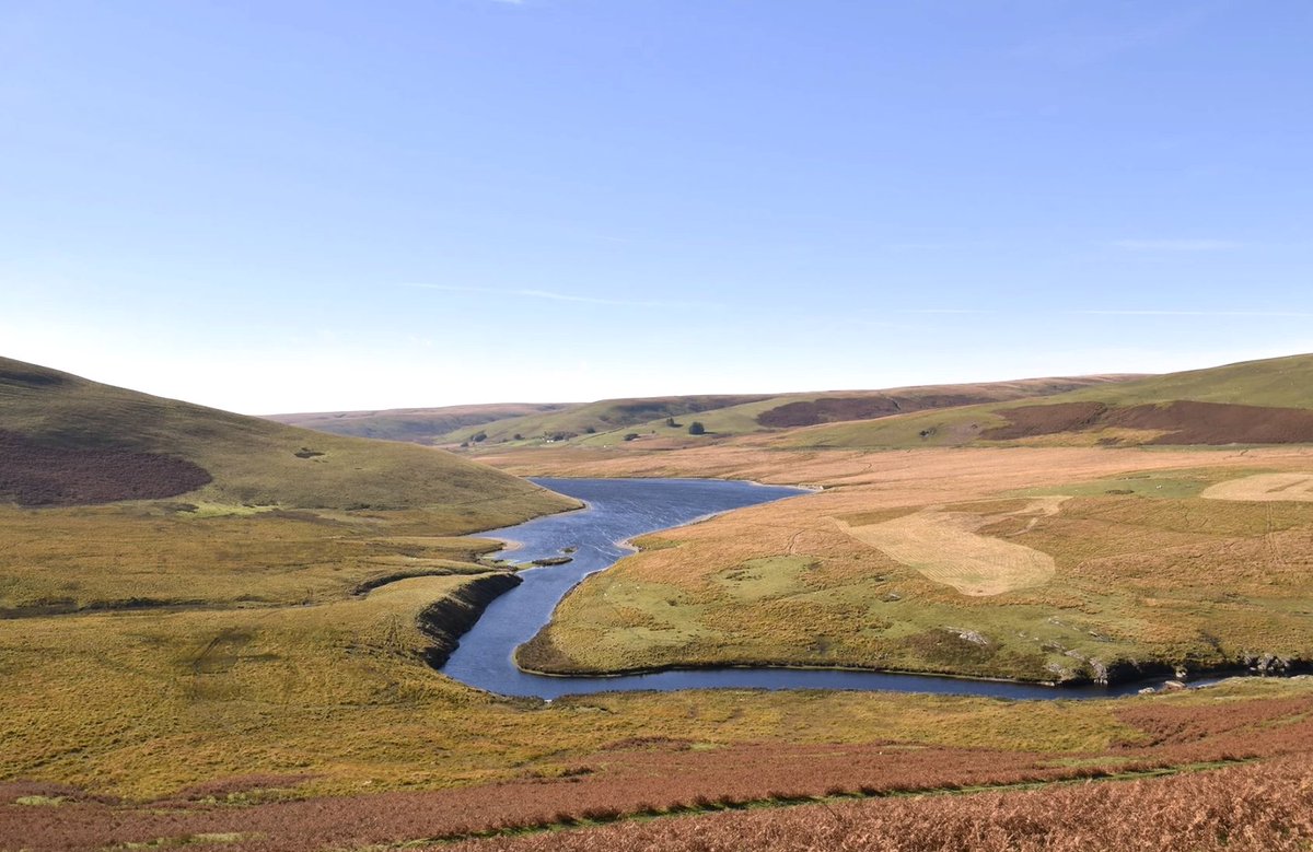 holidayfoxuk's tweet photo. Dolau Afon is a family-run site found among the Cambrian Mountains, in a Dark Sky Reserve - already you're set up for some pretty magical views both during the day and night 🌟

🏕Dolau Afon
📍Ceredigion
🔗 https://t.co/wU2eIkJ1IH

#WALES #visitwales #Travel #holiday #FYP #Heaven https://t.co/qqQQI9KQfu
