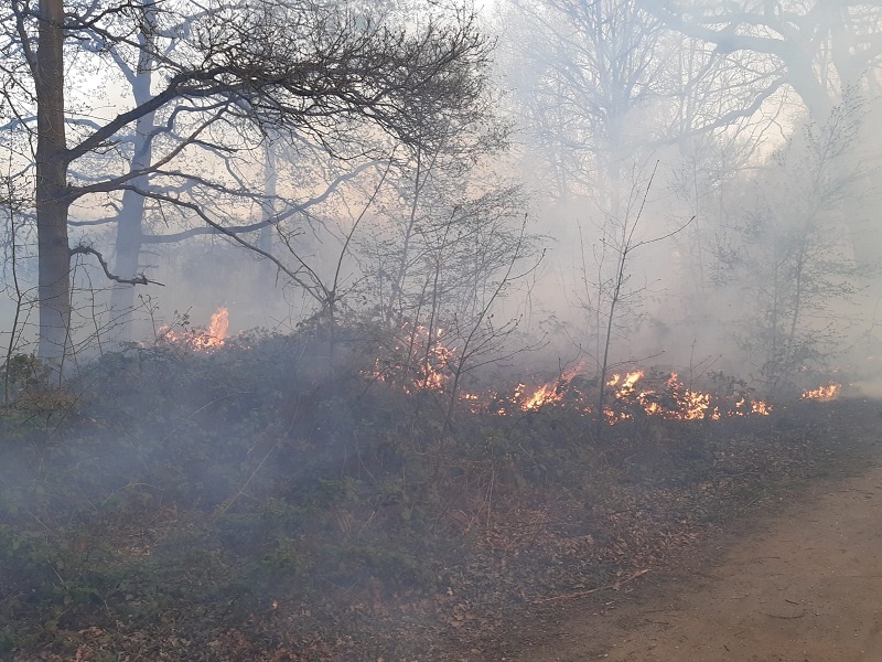 Ten fire engines and around 70 firefighters are currently tackling a grass fire on Rammey Marsh in #Enfield. Our 999 Control Officers have taken 55 calls to the blaze. Please avoid the area whilst we make the scene safe (stock image) london-fire.gov.uk/incidents/2022…