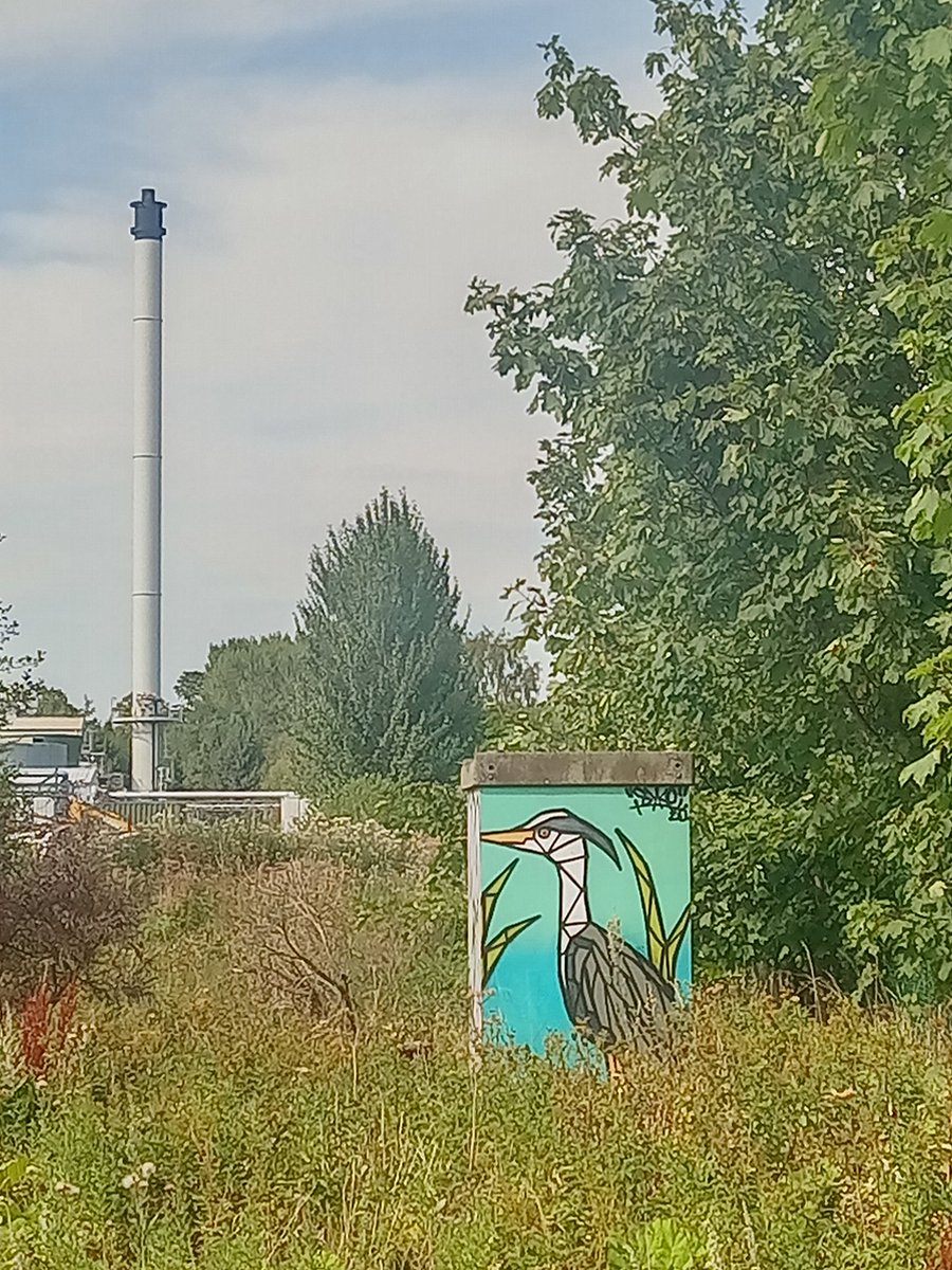 angusj_mcleod's tweet photo. He doo Ron, Ron, Ron. He doo heron! #dighty #dundee #heron https://t.co/26nwuCIZFK