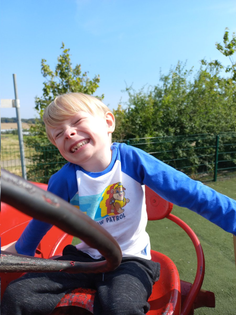 munro_nadia's tweet photo. @maria40617007 @SmileyStenny 
Andrew had a lovely time at @craigiesfarm. We have sunflowers, raspberries and loads of strawberries 🍓 yum yum 😋 https://t.co/7z6IPVx34u