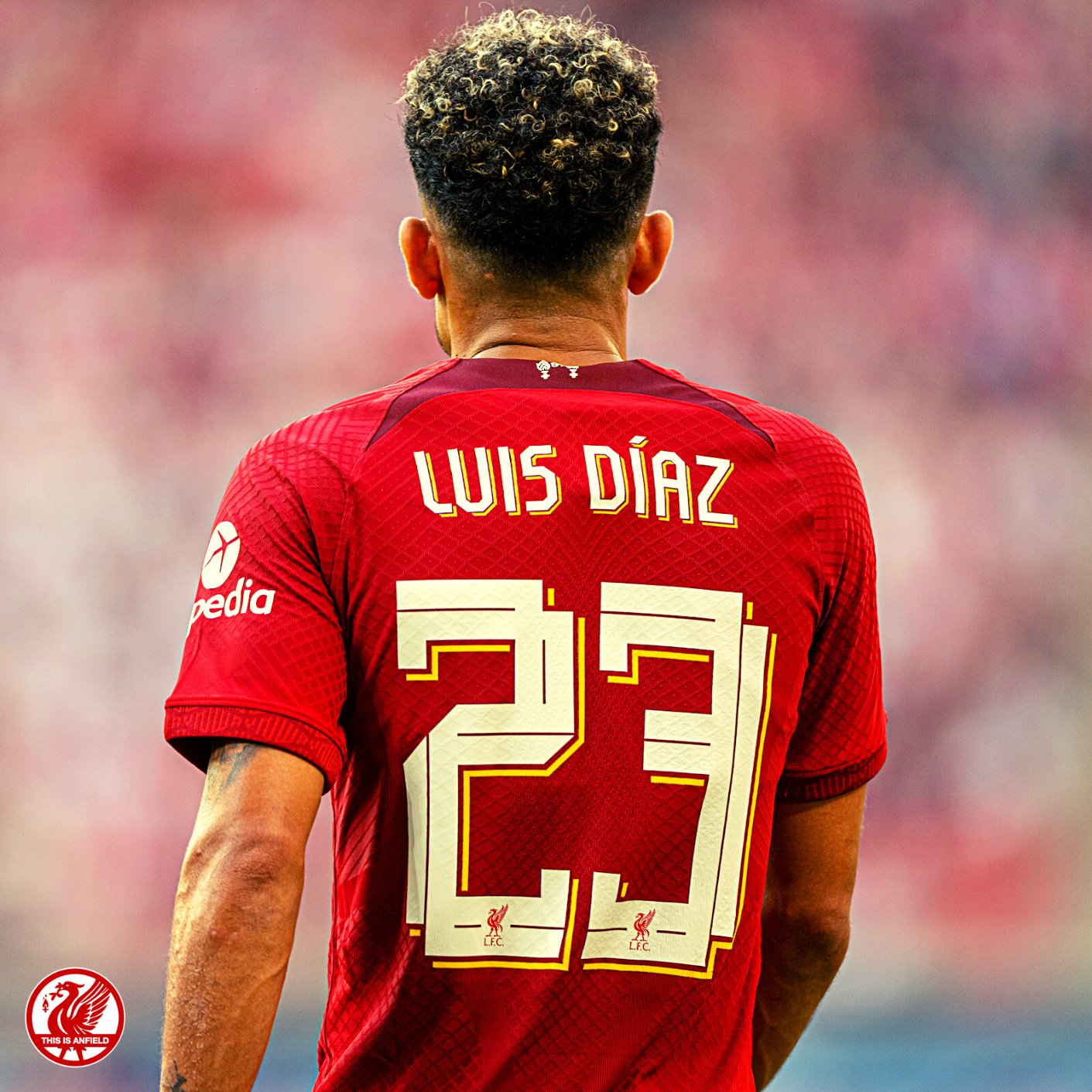 XユーザーのThis Is Anfieldさん: 「Luis Diaz for Liverpool in