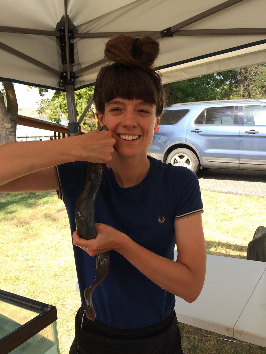KarEleana's tweet photo. Finally have a (Pacific) lamprey on my face! More on my lamprey adventures coming soon... https://t.co/fpVN2SRip3