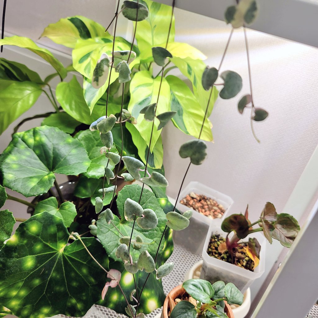 반짝반짝한 곳✨️