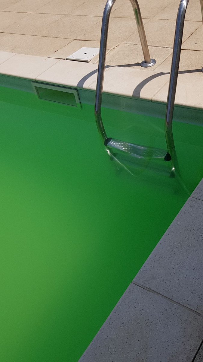 Raghy_lion's tweet photo. @Allonzyquoi J'ai bien une piscine privé à la résidence où j'habite, mais #Citya n'a pas franchement l'air de se préoccuper de sa propreté, et nous laisse cuire dans nos petits appartements mal isolé contre la chaleur.
Par contre, ils n'oublient pas de nous facturer les frais d'entretien.😤 https://t.co/ugOoWs0aHq