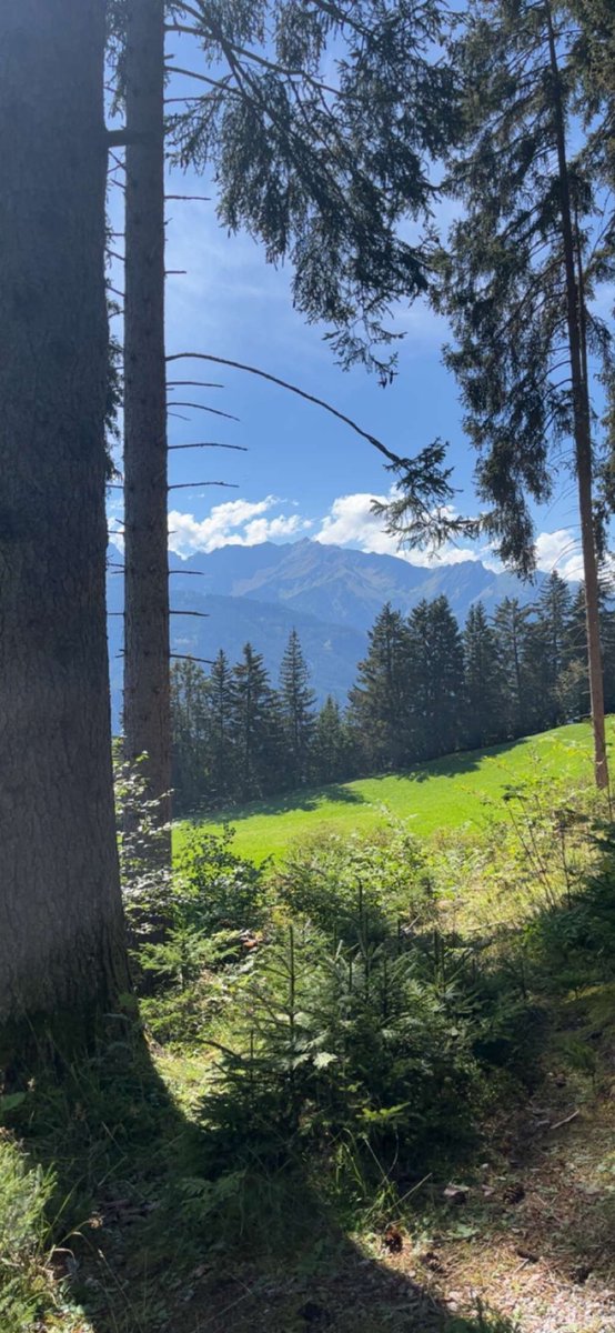 LeonPlla's tweet photo. Lekker genieten van de omgeving Fiss 🇦🇹 👻🌞. #wandelen #genieten #gezond https://t.co/LzF0oUJAPO
