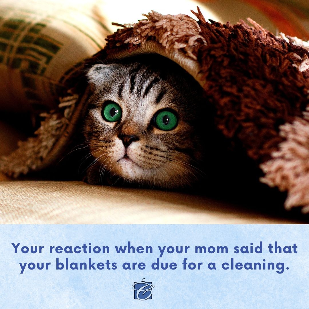 clear_cleaners's tweet photo. How's your reaction when you are asked to wash your blankets? 
Don't worry! Crystal Clear Cleaners has your back. We offer professional and best blanket cleaning services in Orange County, CA.

Call us at (800) 801-0010 to schedule a free pick-up.

#CrystalClearCleaners https://t.co/FyrOUpRuek