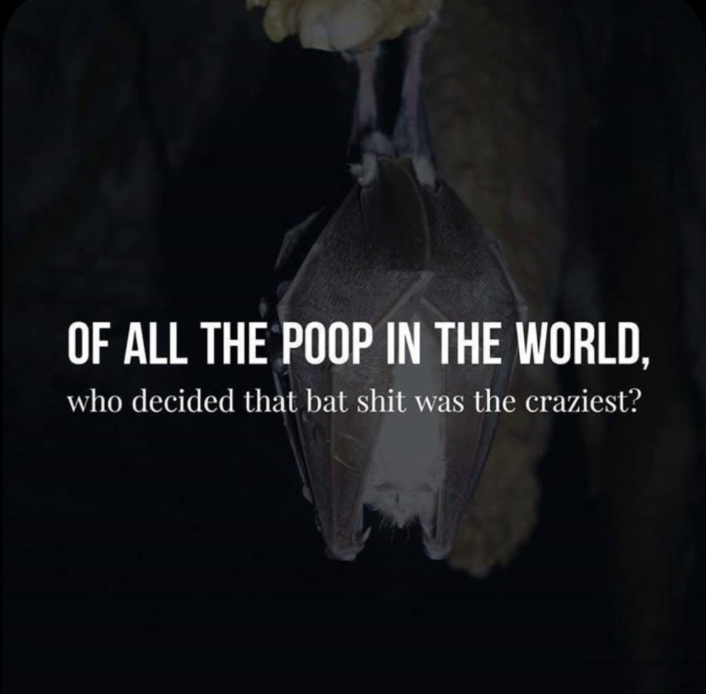 💩🦇😂😘
