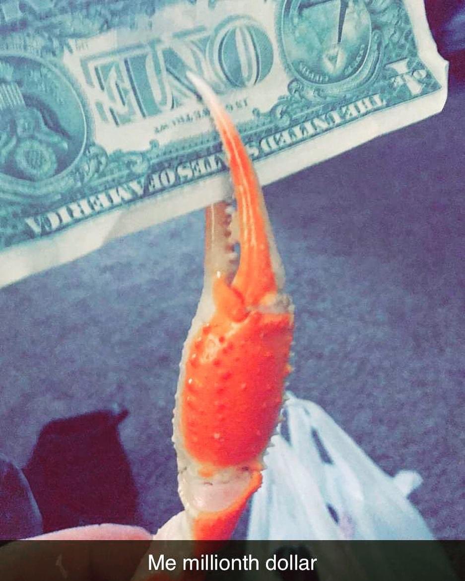 ashhhh__demon's tweet photo. does this tickle your fancy https://t.co/VYQ2GSlRLN