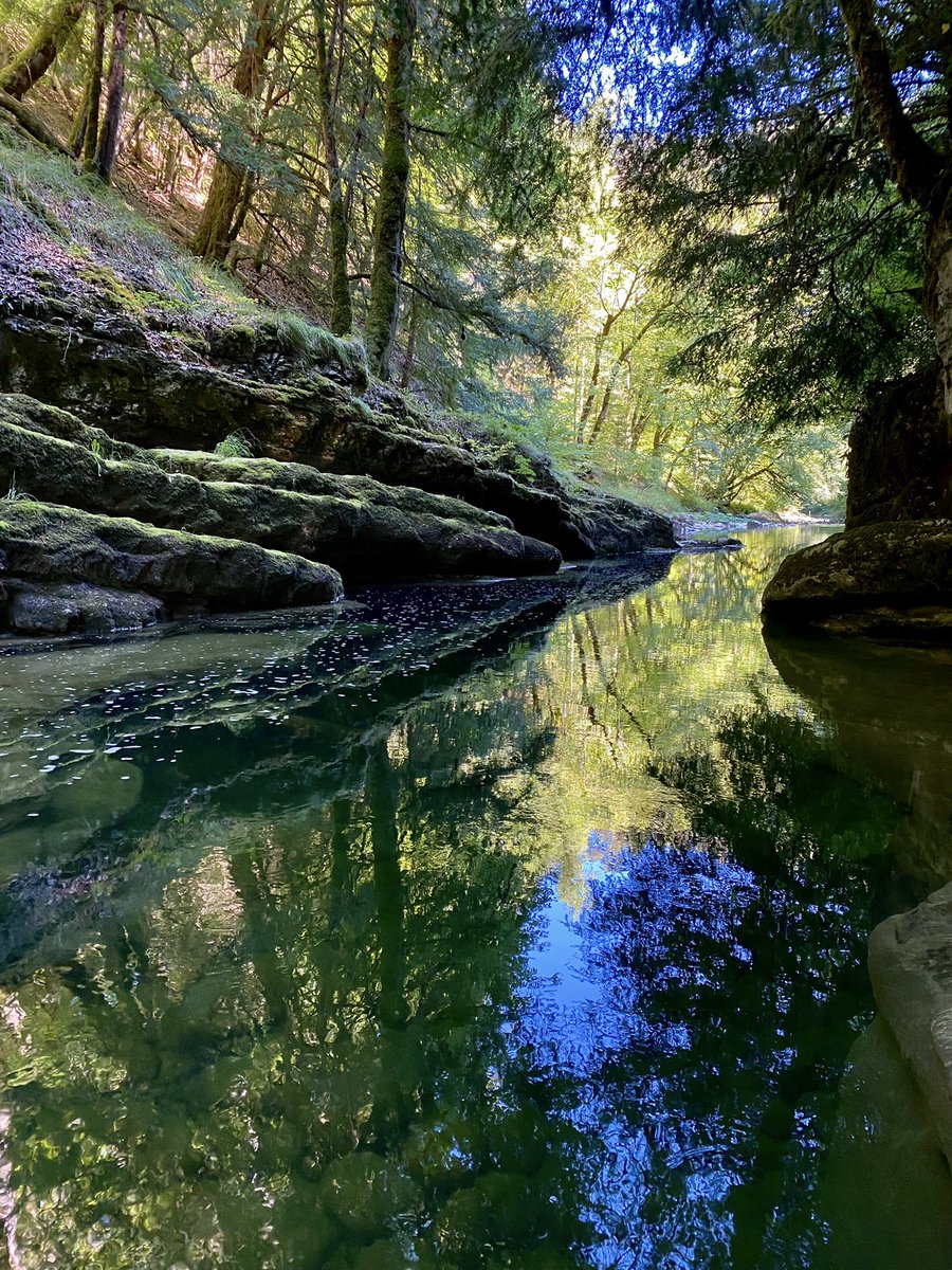 johntomas's tweet photo. A découvrir tout près de chez toi! @neuchatelville, @Etat_Neuchatel #GorgesdelAreuse https://t.co/IcopOPTavH