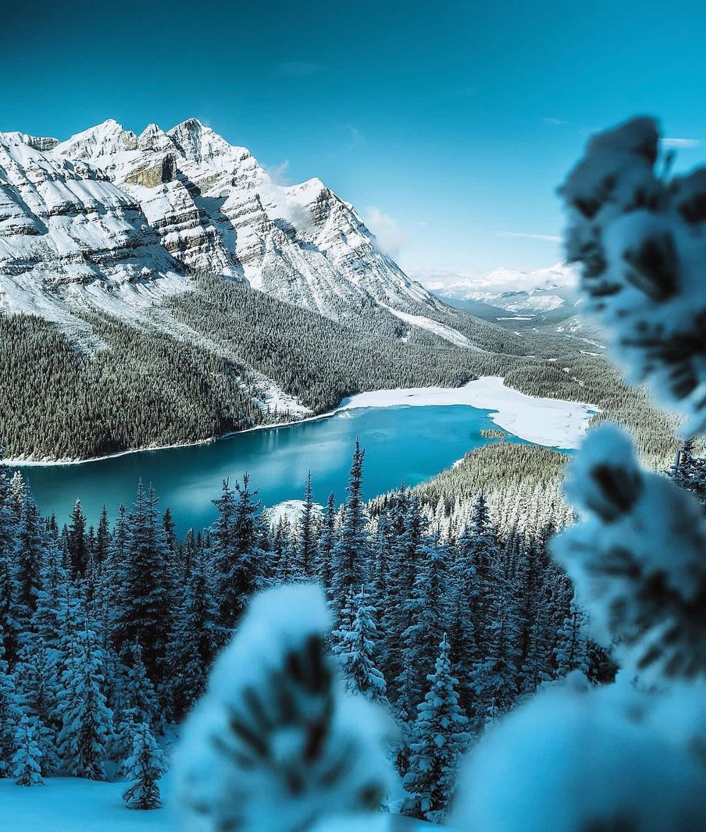 _magical_nature's tweet photo. Banff National Park, Canada 🇨🇦 https://t.co/GGIcnCbcMf