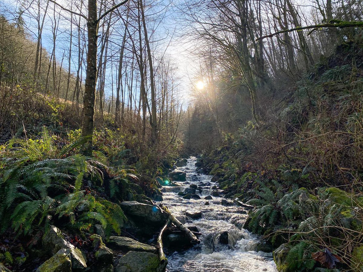 ATRAtrailrunner's tweet image. Pacific Northwest Charm in "Trail Town" Mukilteo, Washington. We profile this small town with big views and quiet trails north of Seattle. Join us in Mukilteo for the @TrailConference Oct 19-22! 📸Snohomish County Sports Commission. 👉👉 trailrunner.com/trail-news/pac…