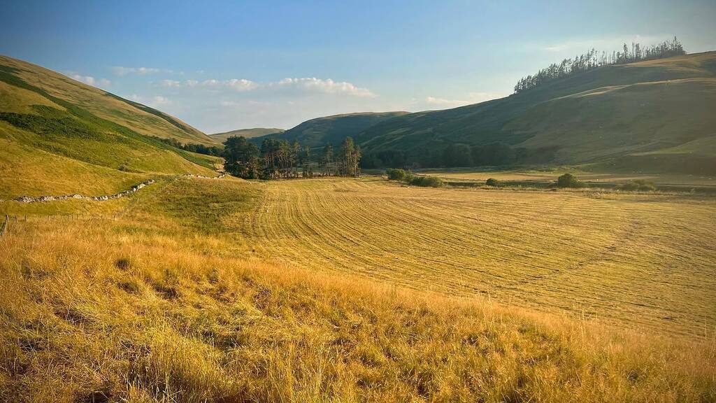 ca2cal's tweet photo. Barrowburn.
.
.
.
#northumberland #coquetvalley #uppercoquetvalley #rivercoquet #barrowburn #wedderleap #otterburn #cheviothills #tree #hills #getoutside #landscapephotography #landscapephoto #landscapes #landscape_captures #Landscapes_of_Britain #landscapephotography #natur… https://t.co/IzdHpJLsIM