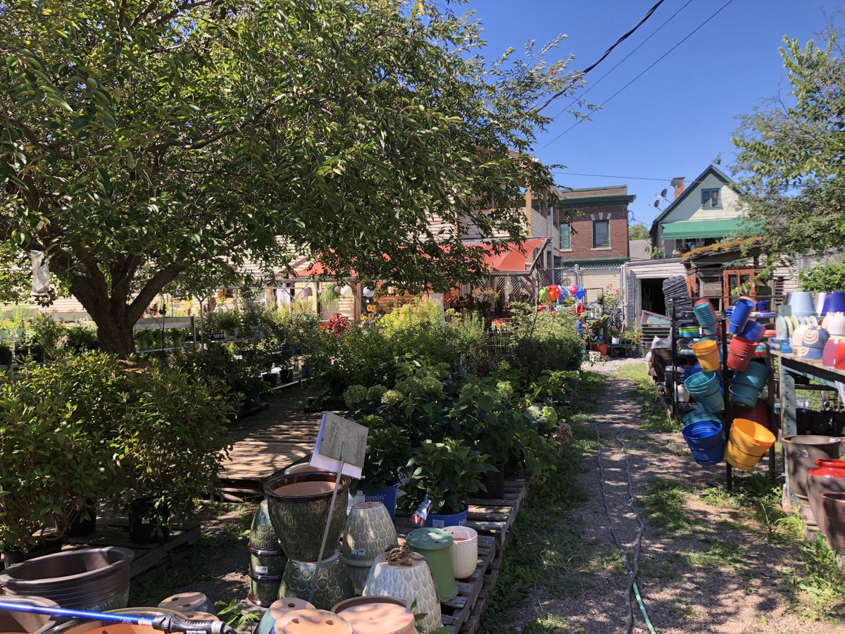 Buffalo Legacy: Urban Roots….was a vacant lot…now a garden center and anchor of 5 Points neighborhood.
