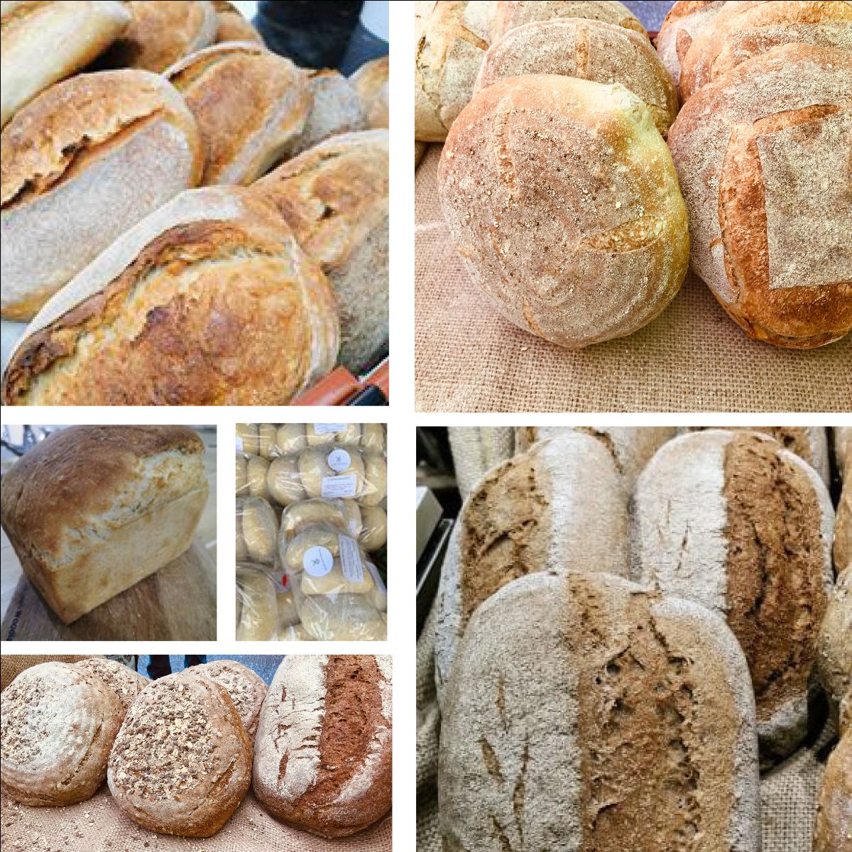 Cowbridge Food Collective tweet media