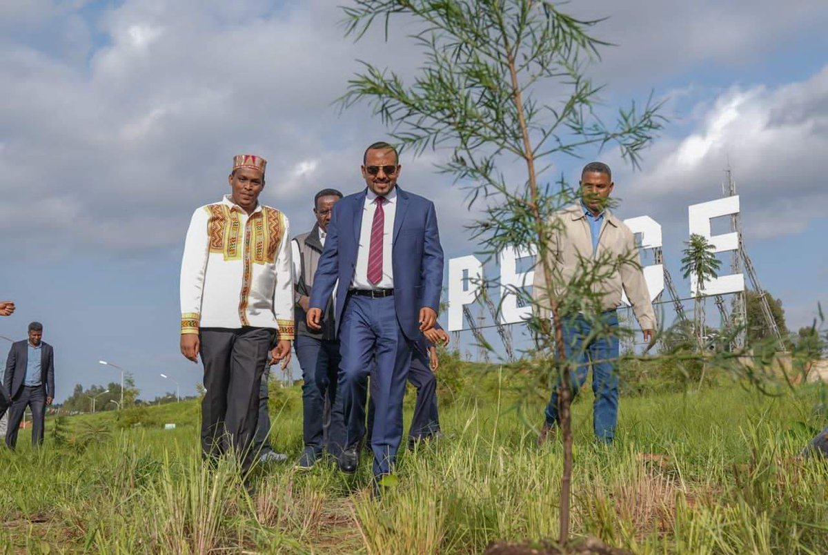 AminiHiniAshe's tweet photo. Most of the seedlings planting under the Green Legacy initiative for this year are allocated for food production (60%), followed by forest cover (35%). The remaining seedlings (5%) are dedicated to enhancing urban beauty. #GreenLegacy #Ethiopia #COP28  https://t.co/S8OyLaEgOV