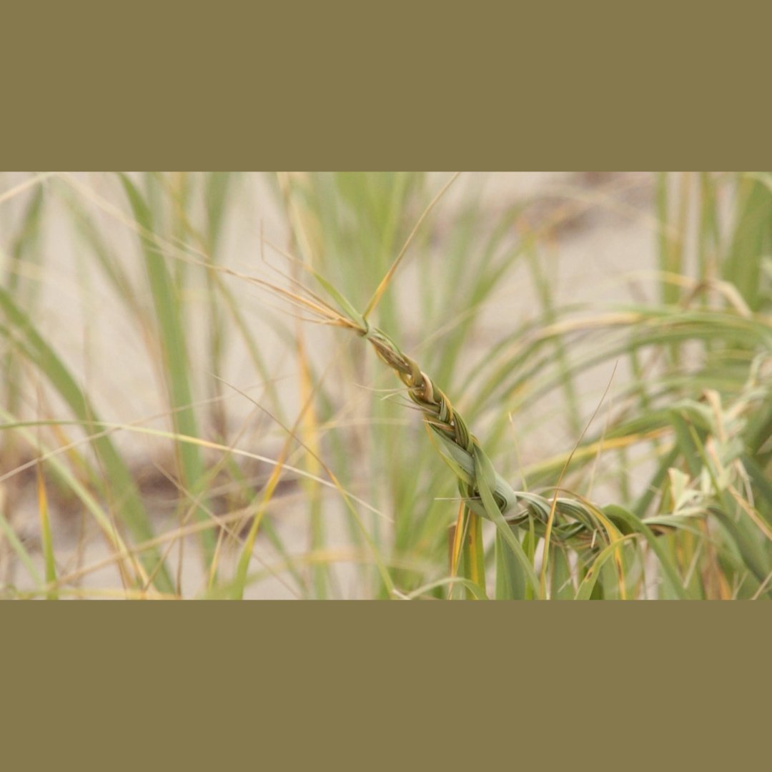 Over the next few weeks we'll be dropping some preview images from Mikiki's upcoming show Port Manteau 

Port Manteau  Opens September 10th and will feature new video and sculptural works