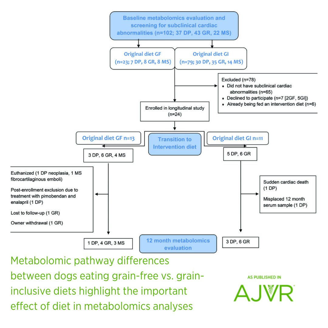 AJVROA's tweet photo. #Metabolomic pathway differences between dogs eating #grain-free vs. grain-inclusive diets highlight the important effect of diet in metabolomics analyses. Learn more: https://t.co/jxlH0Lmxug @UFVetMed @tuftsvet @ACVIM #cardiology #nutrition https://t.co/b3VmSDC8HS