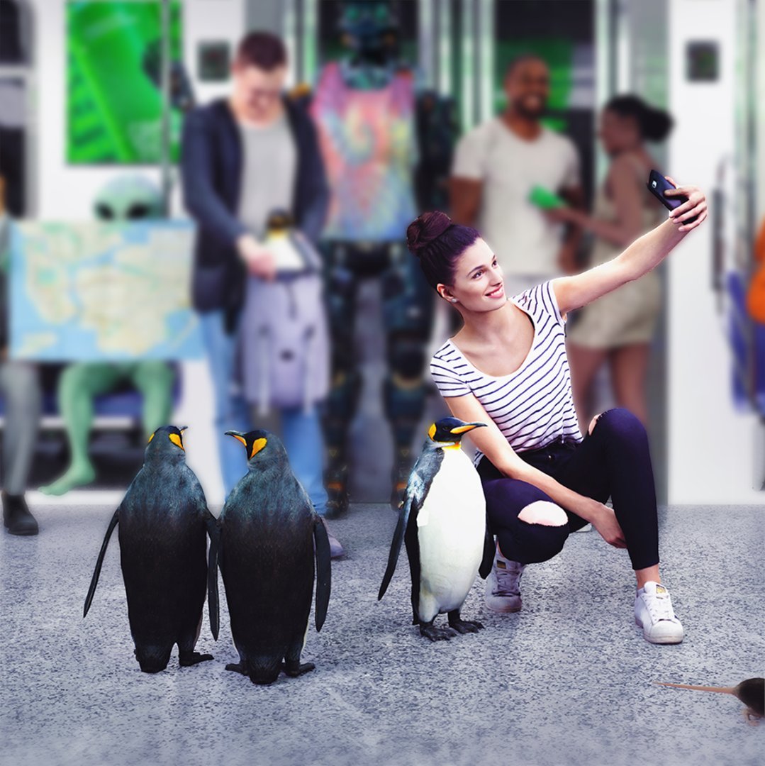 Spotted some penguins on the subway?

They're looking for some chill vibes, have you got some to share?