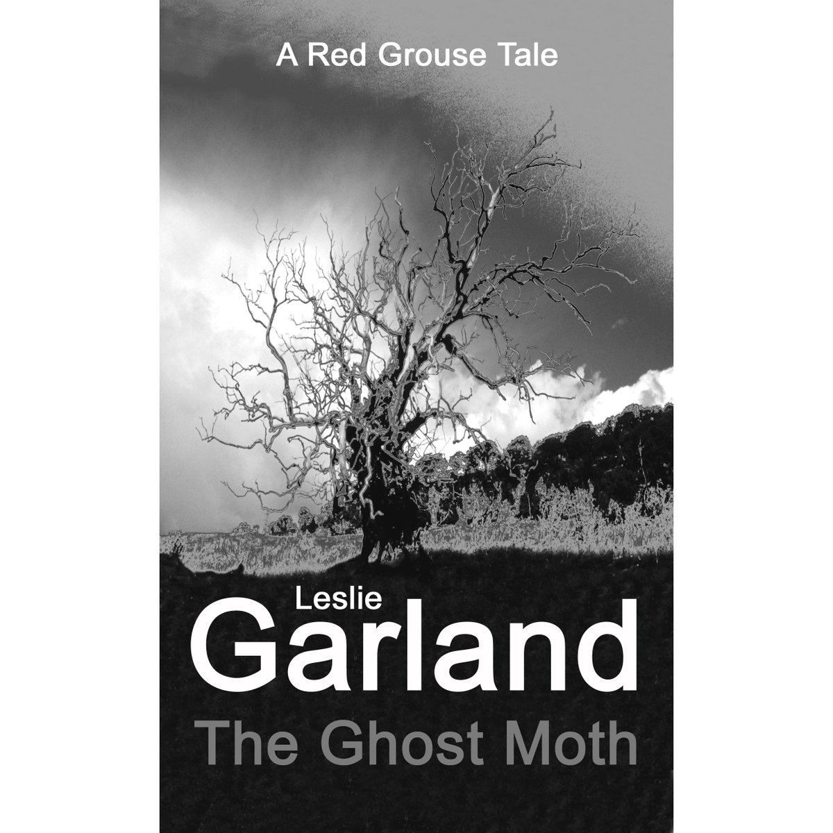 Given⭐️⭐️⭐️⭐️⭐️ by Readers Favorite – readersfavorite.com/book-review/th… for full review.
 “A thin line between rationality and madness in an exceptional piece of literature.” Rachel Nefeke, Goodreads.
Available; amazon.com/Ghost-Moth-tra…
FREE on KU
Website: lesliegarland.com