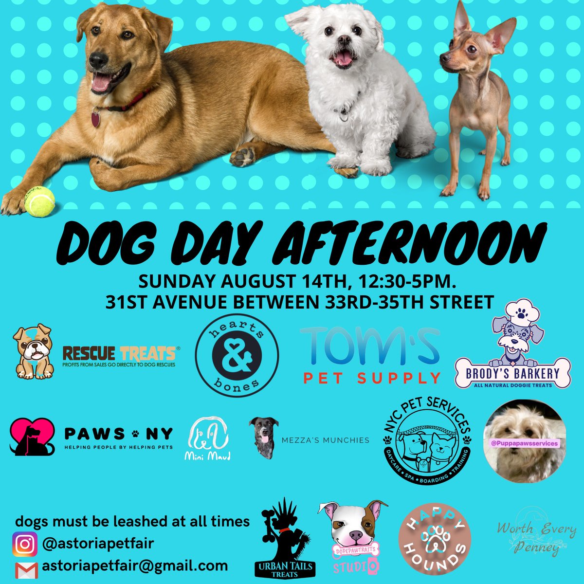 PAWSny's tweet photo. We're excited to be a part of the Dog Day Afternoon pet fair and dog meet-up tomorrow, August 14 from 12:30-5pm in Astoria! Come out to enjoy the 31st Avenue Open Streets and have some pet-related fun! #dogdayafternoon #astoriapetfair #petevents #31stAveOpenStreets https://t.co/QLyMqOz5oW