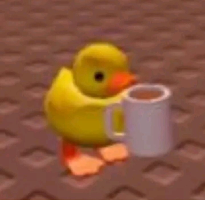 yzsafy's tweet image. Se liga no meu patinho de cria