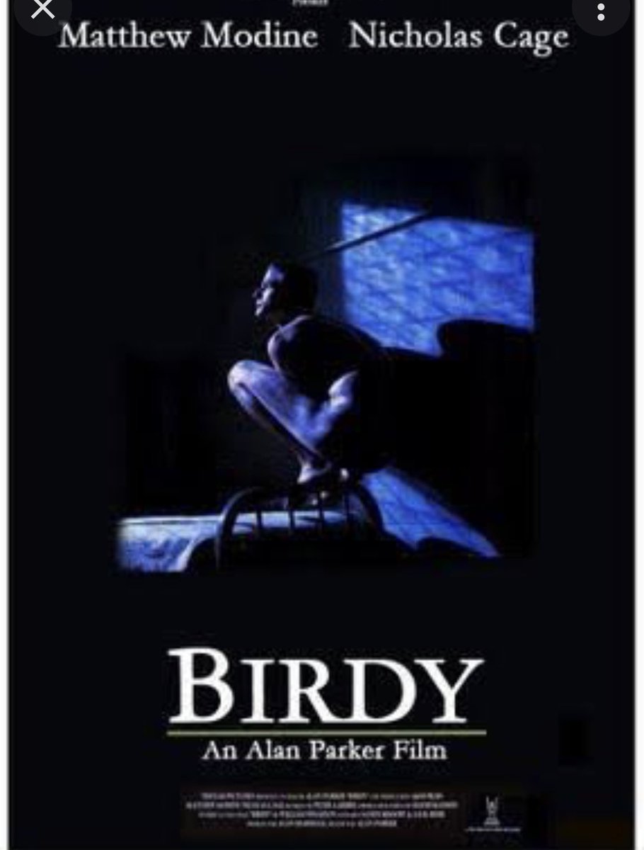 marimbamont's tweet photo. @ChumelTorres Me recordó a la película de Birdy, la recomiendo https://t.co/8hT3U3ndnx