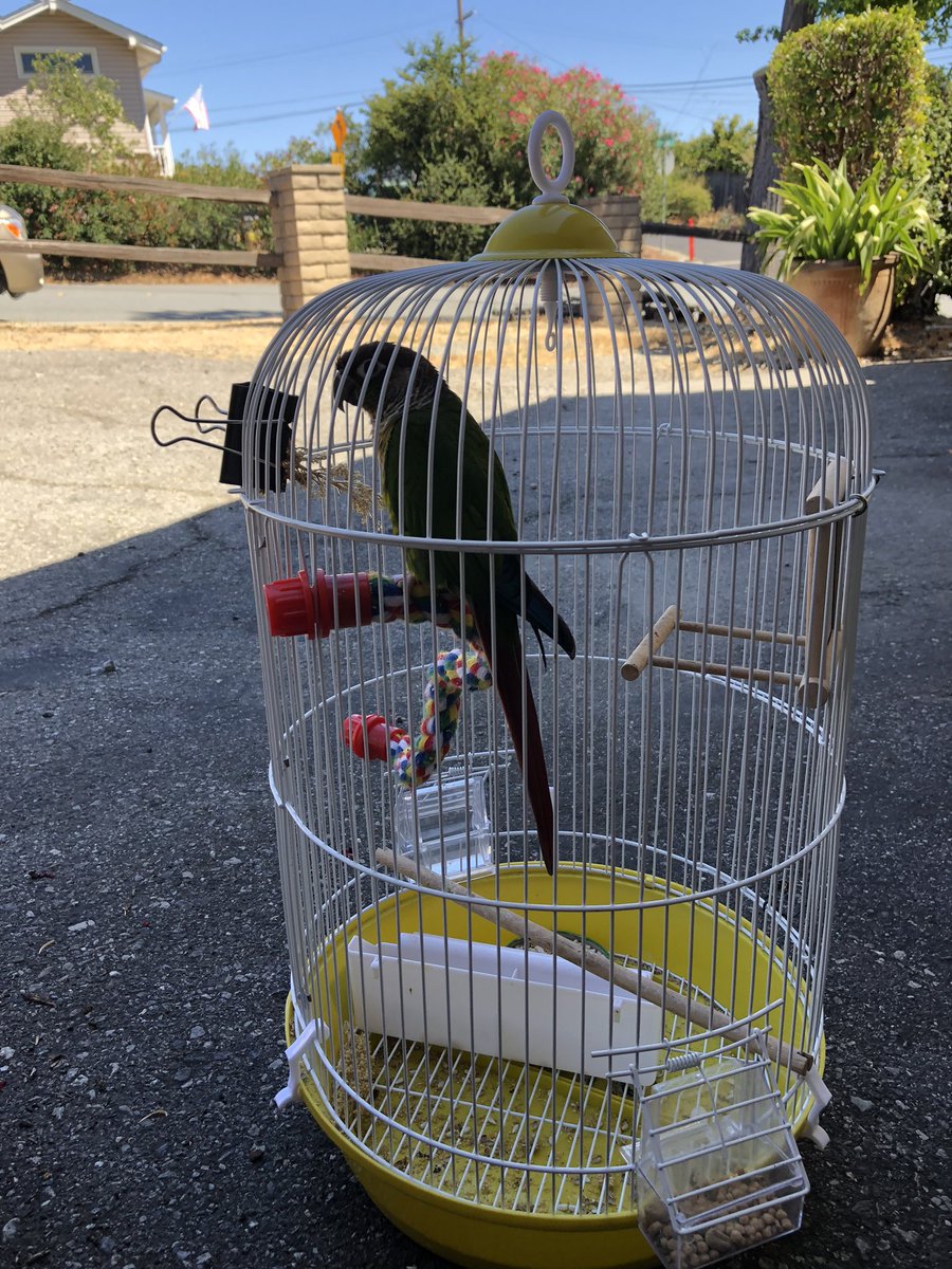 Saturday in suBIRBia.