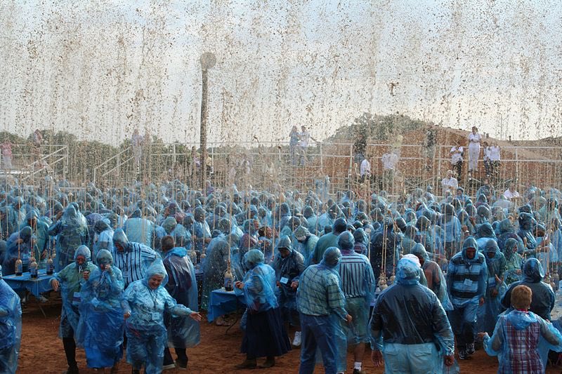 Kari Potter tweet media