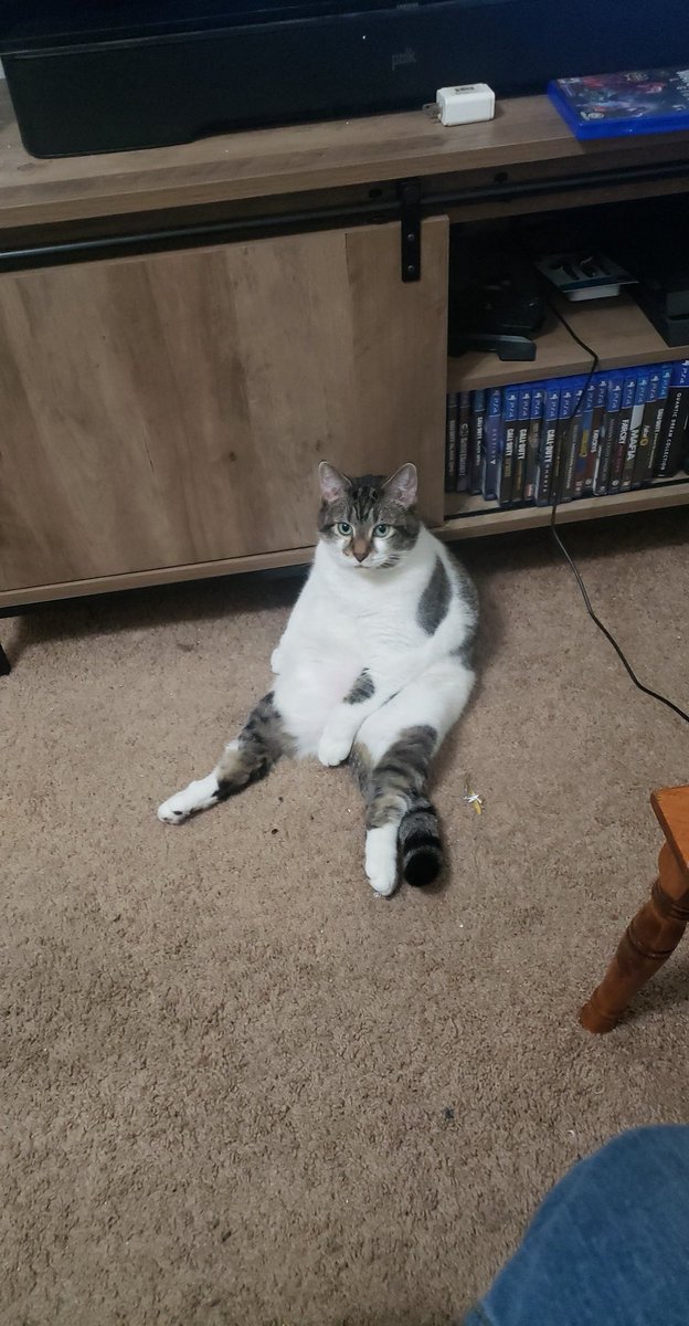 #Caturday to be as happy as my sweet kitter