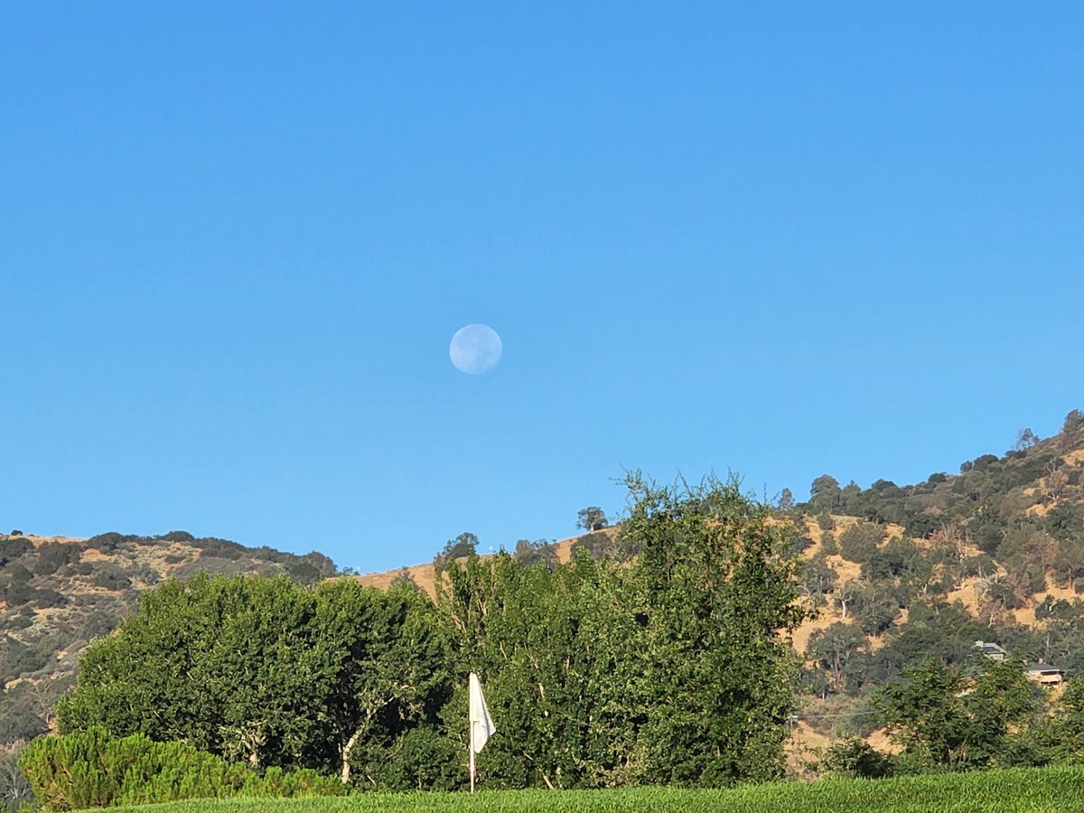 Tracy Scott Kelly tweet media