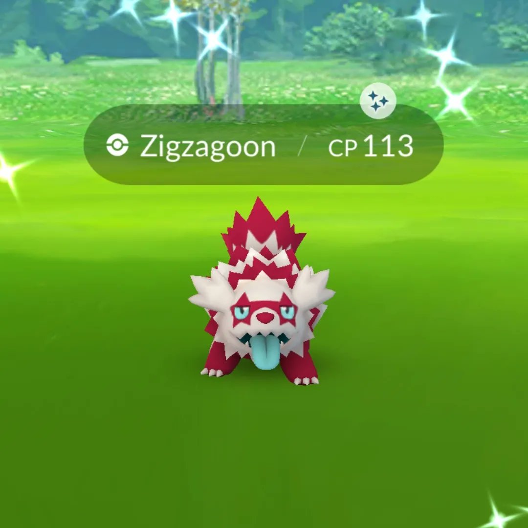SammieAran's tweet photo. How's your #pogocommunityday going?! I almost caught a #shundo on my second #shinygalarianzigzagoon today! Lol

If you are in between your #shinyhunts, stop by the #livestream where we are #shinyhunting reptile #pokemon for our #fuecookout #event in #bdsp. You can join in too! https://t.co/Gaz0iCMmwh