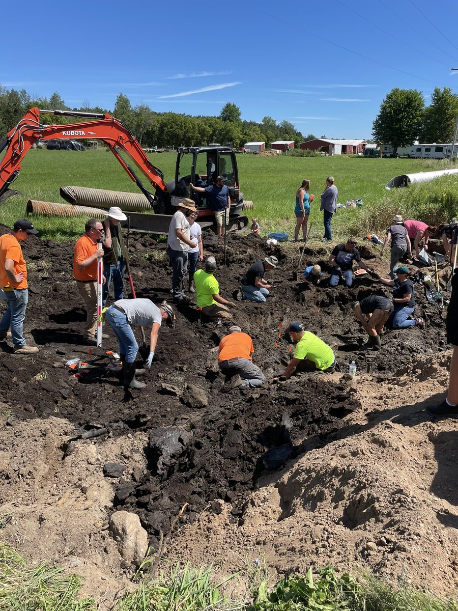 Make no bones about it — we’ve found a mastodon!

During construction in the Geers Intercounty drain construction project, a mastodon has been discovered! Archeologists from <a href="/UMich/">University of Michigan</a> were on-site yesterday. I dig it!