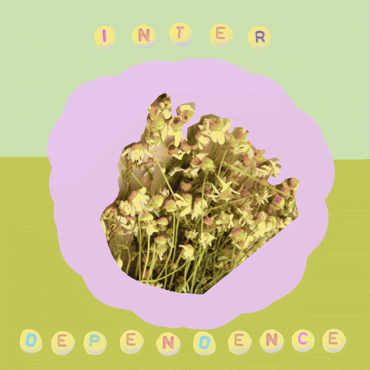 alexa dexa tweet media