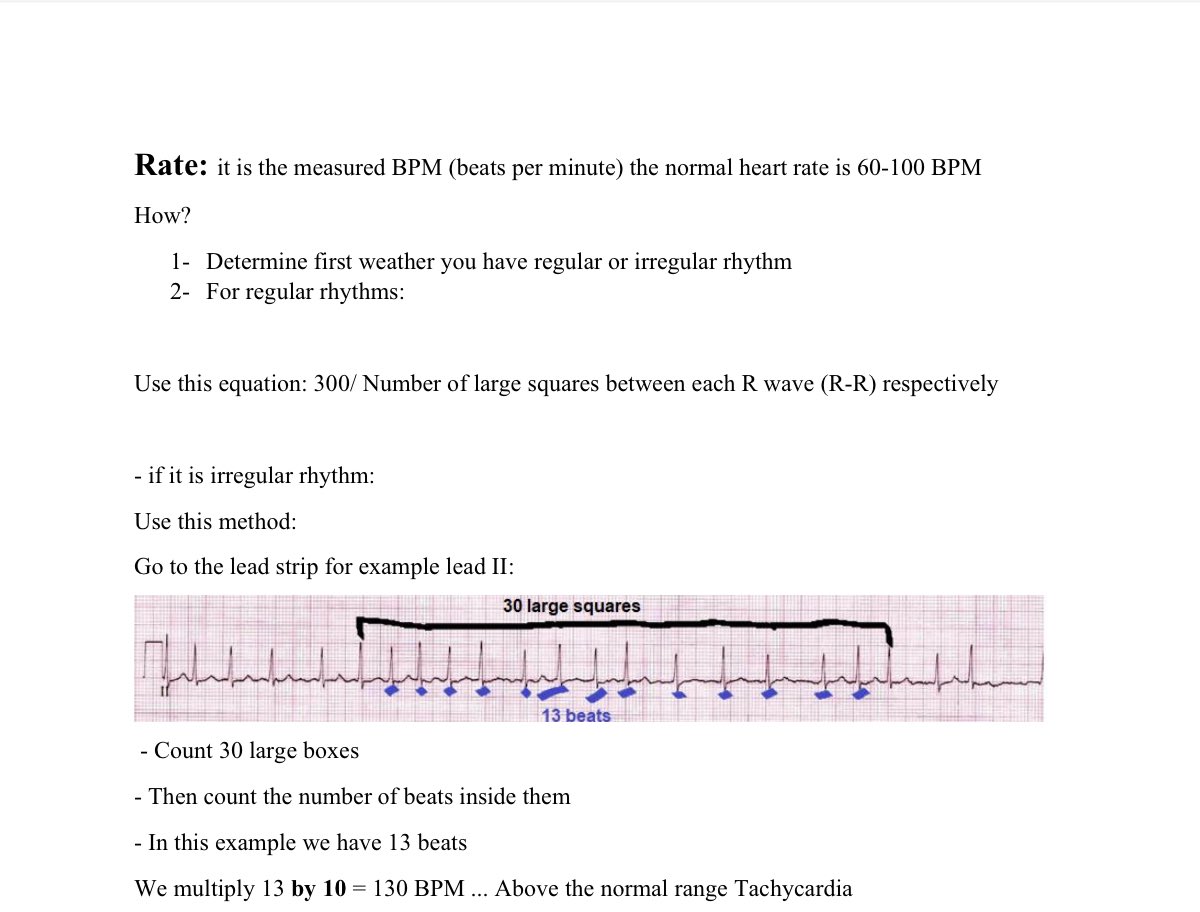 Muhnnad A. AlGhamdi tweet media