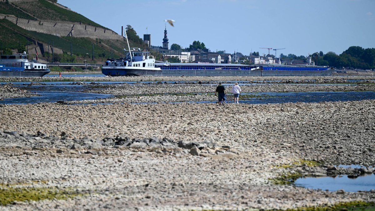 Der Rhein bei Koblenz vor zwei Tagen. Heute Abend feiern dort zehntausende Menschen ein Volksfest namens "Rhein in Flammen" - mit Fleischlappen vom Schwenkgrill und Feuerwerk, ja Feuerwerk. Wir nehmen das mit dem #Klima und der Dürre noch nicht ernst genug...